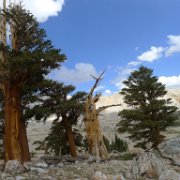 SouthernSierra 161 : SouthernSierra
